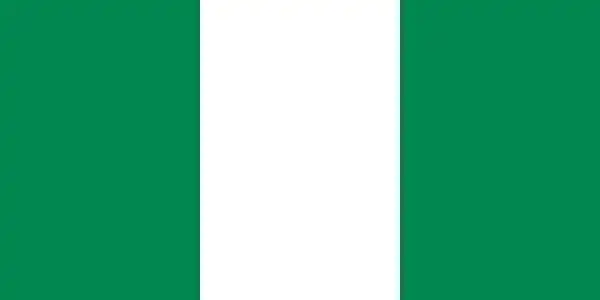 Despite being defrauded, I will return to Nigeria with my family – American