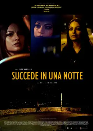 Succede in una notte (2025) [Italian]