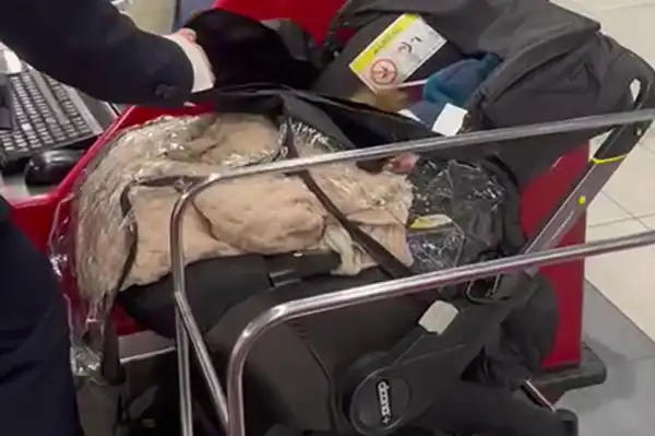 Couple abandon their baby at Israeli airport check-in while attempting to board a flight