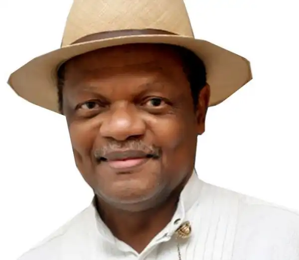 Totally Insensitive – Atedo Peterside Slams Akpabio Over Comments At Wigwe’s Burial