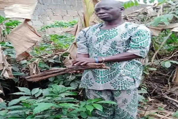 Ritualist Bags 5-year Jail Term For Possession Of Human Parts In Osun