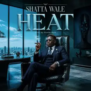 Shatta Wale – Heat