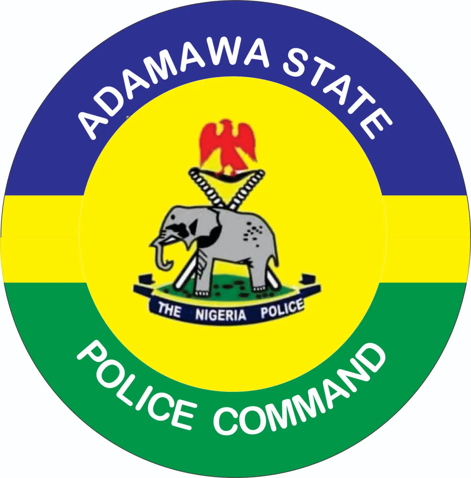 Police arrest man for defiling four boys in Adamawa