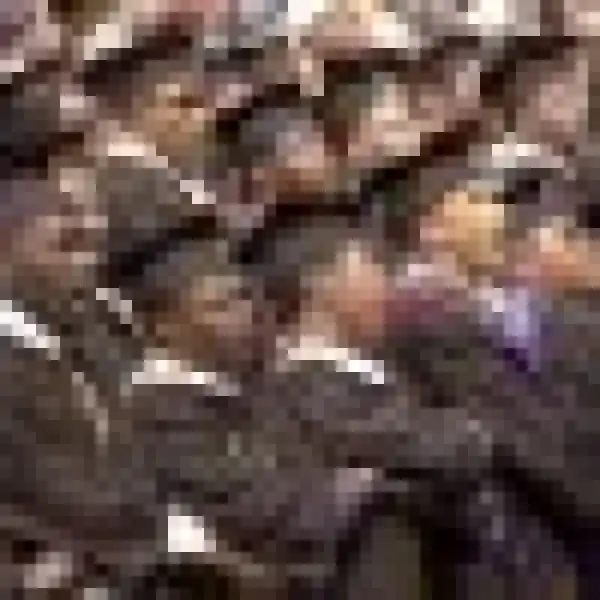 COVID-19: Many Nigerian Students Are Stranded Abroad – ISF