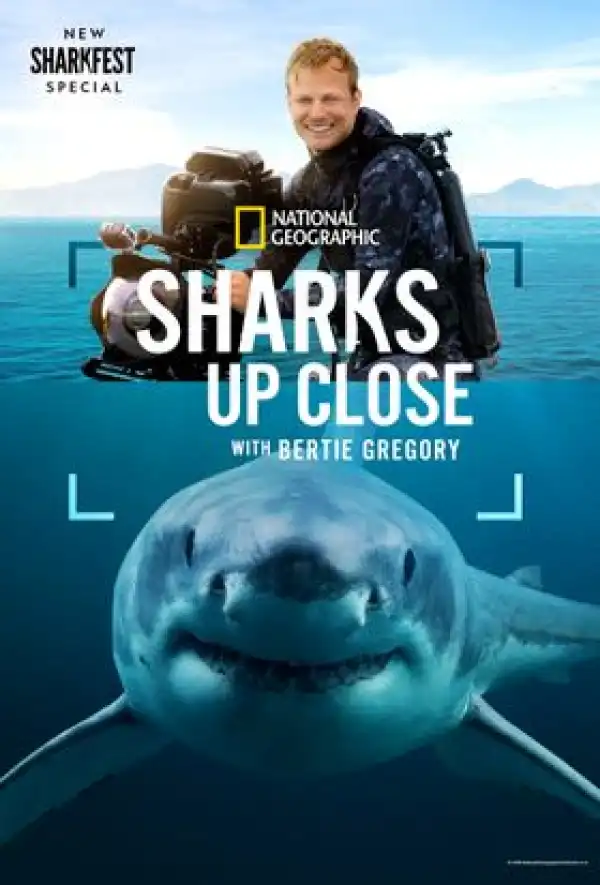 Sharks Up Close with Bertie Gregory (2025)