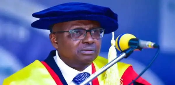 Senate summons UI VC over alleged assault, victimisation