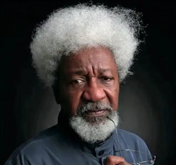 Soyinka Distances Self From Pyrates Confraternity’s Mockery Of Tinubu