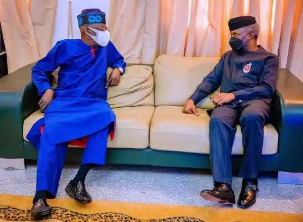 2023: Tinubu And Osinbajo Will Fight, Jeopardize South-West Chances - Primate Ayodele