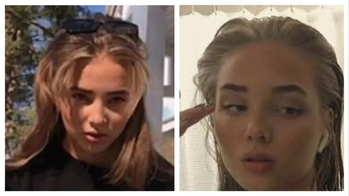 Career & Net Worth of  Ava Lunden