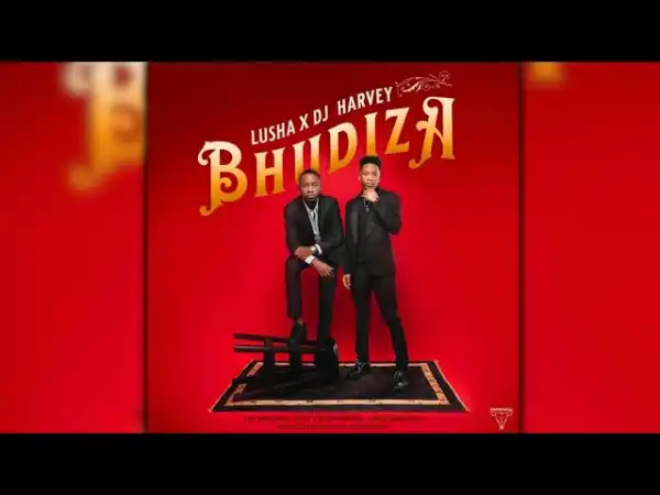 DJ Harvey & Lusha Ft. TA MusiQ, Citykingrsa, JFS Music, Blvcknavy & Deeray – Bhudiza