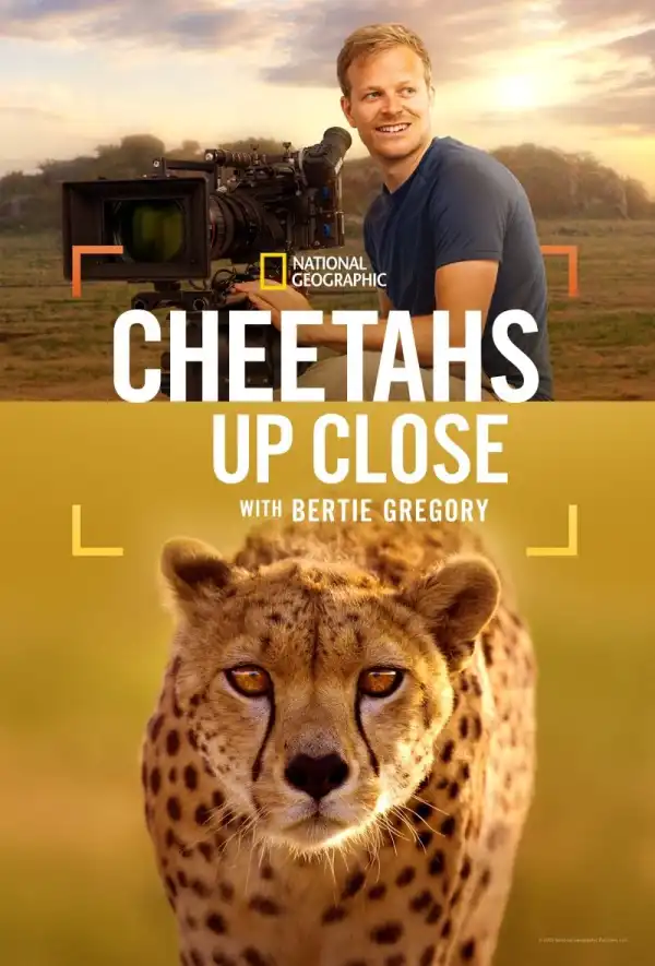 Cheetahs Up Close With Bertie Gregory (2026)