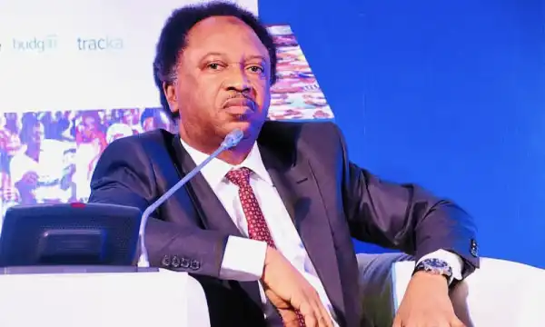 Ondo: Painful, heartbreaking tragedy — Shehu Sani reacts to Airforce crash