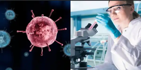 Scientists discover another mysterious never-before-seen virus, Yaravirus