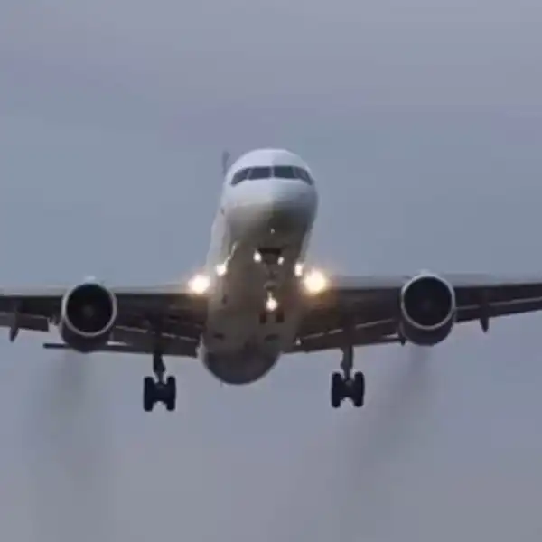 Plane crash claims three lives in Florida