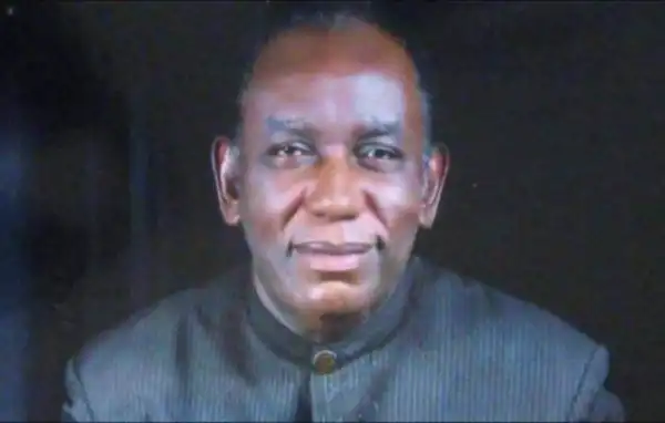 Famous Nigerian Writer, Dillibe Onyeama Is Dead