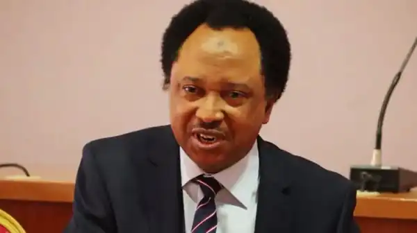 Don’t give subsidy funds savings to governors, Shehu Sani tells Tinubu