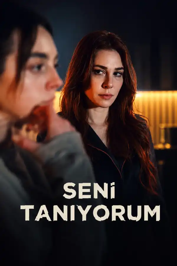 Not a Stranger (2026) [Turkish] (TV series)