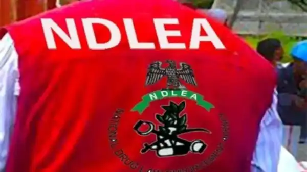Major drug bust in Lagos: NDLEA nabs businessman over US-imported cannabis