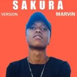 Marvin Larrys – Sakura