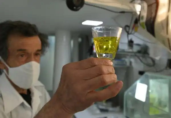 Bolivia approves toxic bleach as Coronavirus treatment despite reports of people being hospitalised after taking it