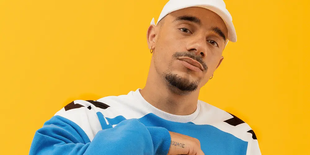 Career & Net Worth of Mister V