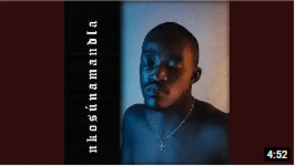 Menzii – Nkosunamandla (Official Audio) ft. Siphe & LD