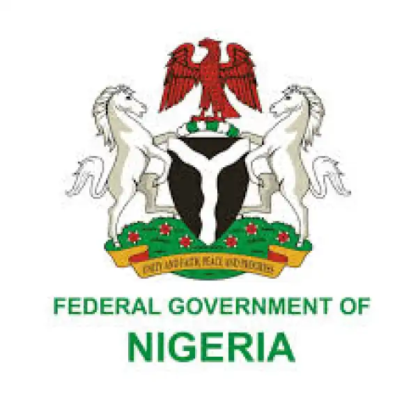 Nigeria Air To Fly Soon — FGNigeria Air To Fly Soon — FG
