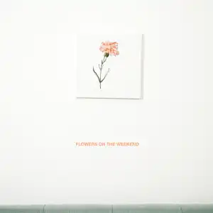 Asher Roth - Flowers On The Weekend