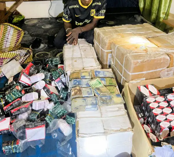Police raid drug warehouse in Yobe, arrest suspect, recover hard drugs