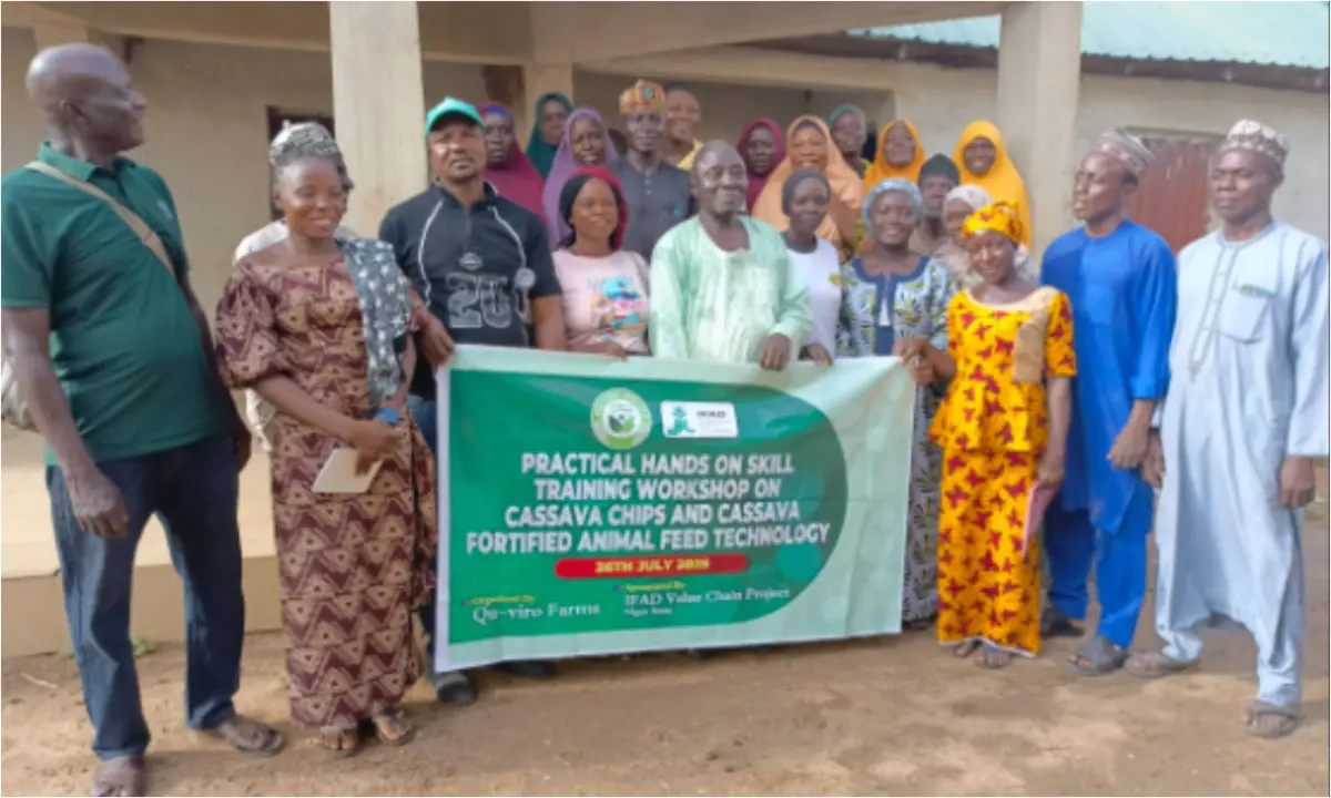 Cassava chips export: Expert calls on Niger processors to seize global opportunity