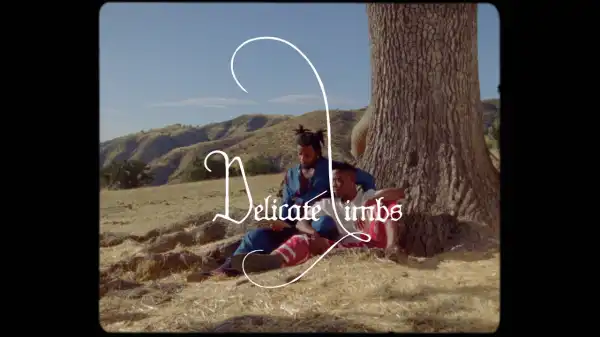 Virgil Abloh Feat. Serpentwithfeet - Delicate Limbs (Video)