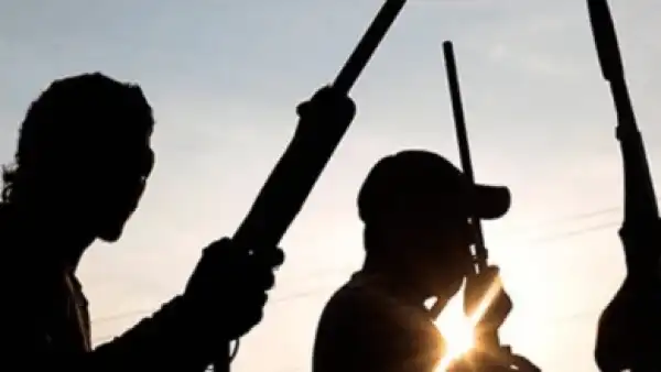 Again, gunmen invade Ekiti LG, abduct businesswoman, smash farmer’s head