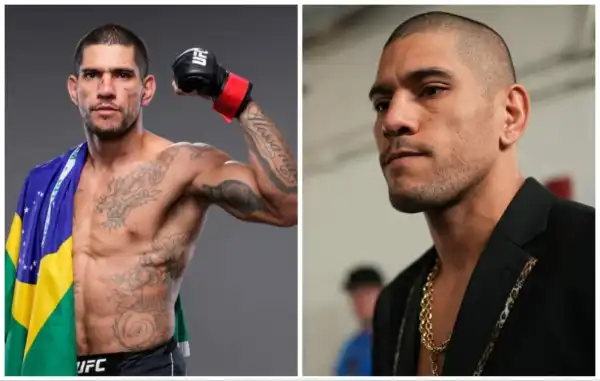 Career & Net Worth Of Alex Pereira