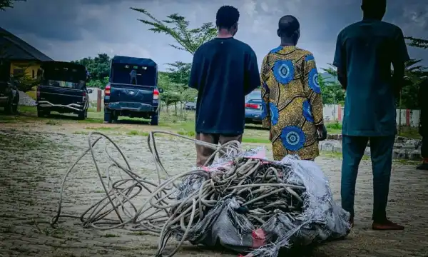 Osun NSCDC arrests father, son, one other over alleged theft, sale of electrical cables