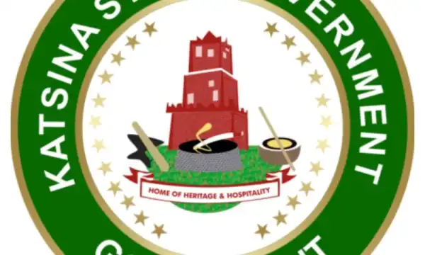 Insecurity: Katsina govt moves to recruit 708 vigilantes to protect schools