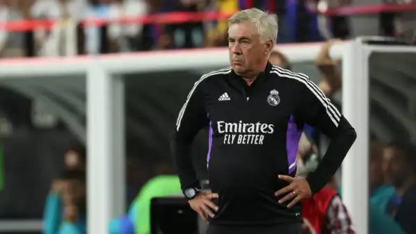 Carlo Ancelotti hints further Real Madrid signings are unlikely