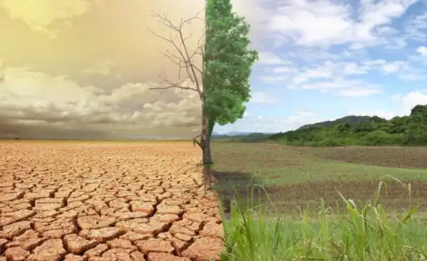 Climate emergency: Nigeria’s biodiversity facing existential threat – Experts