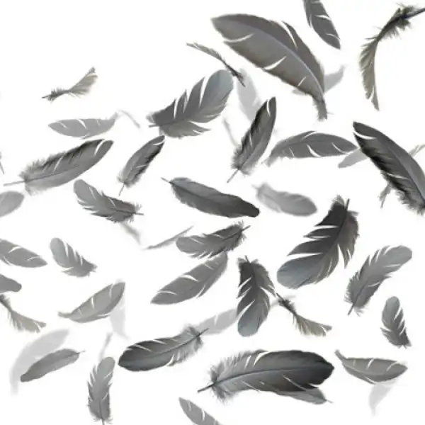 THOUXANBANFAUNI - Horse Power