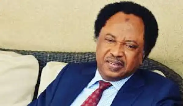 Tinubu Certificate Saga: Leave The Matter Abeg - Shehu Sani