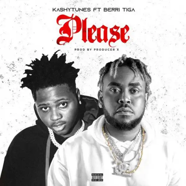 KashyTunes ft. Berri Tiga – Please