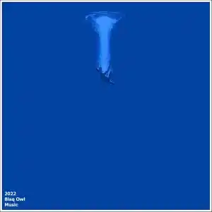Blaq Owl – No Escape (Original Mix)