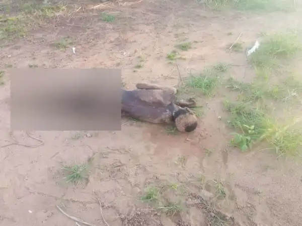 Body of a severely malnourished woman found dumped on road in Benue