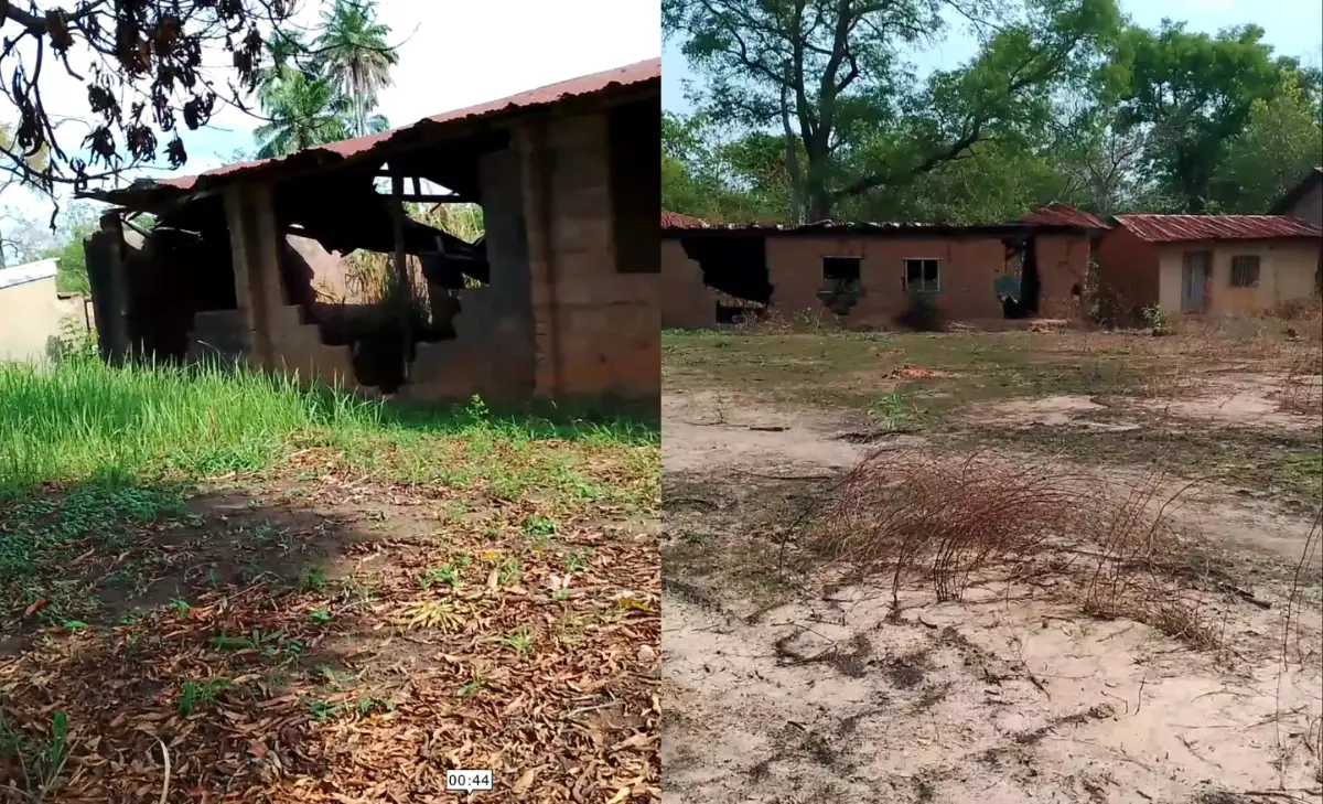 Snakes, lizards take over Benue public schools as teachers, pupils abandon classes