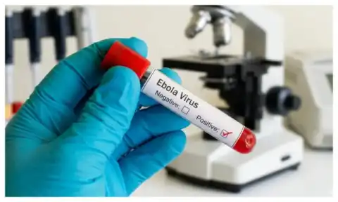 No vaccine for current Ebola outbreak - Africa CDC gives shocking reason
