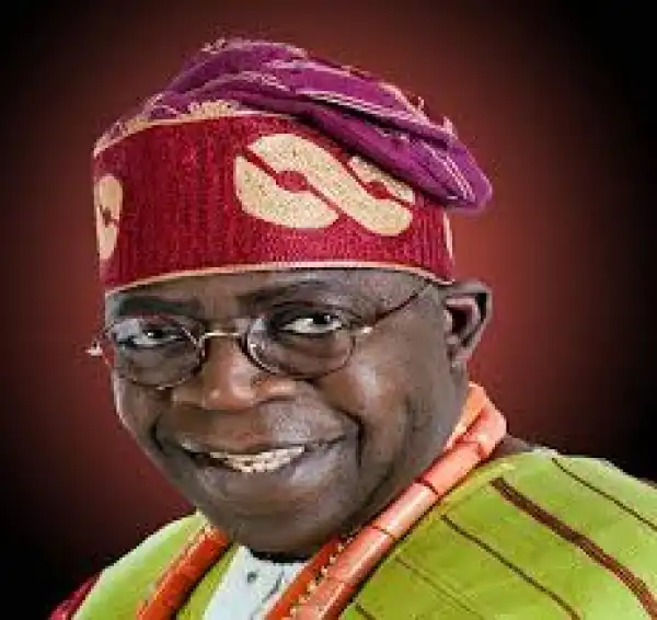 Billionaire Tinubu Has No Companies In His Name