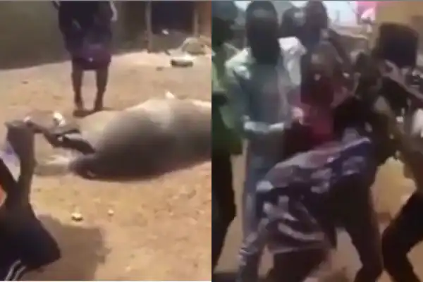 Watch The Memorable Moment A Lady Passed Her Virginity Test by Jumping Over A Horse (Video)