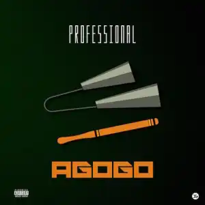 Professional Beat – Zino Fuji Interlude