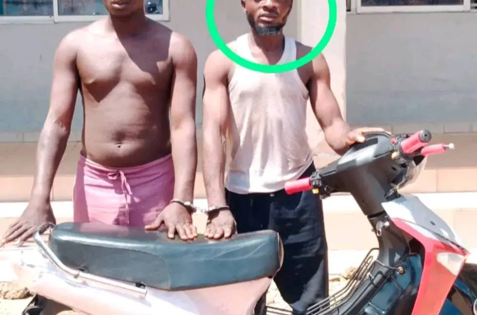 We bribed NAYEA officer with ₦50k to escape from custody – Rearrested suspect