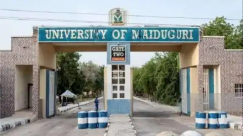 Outcry trails renaming of University of Maiduguri after Buhari
