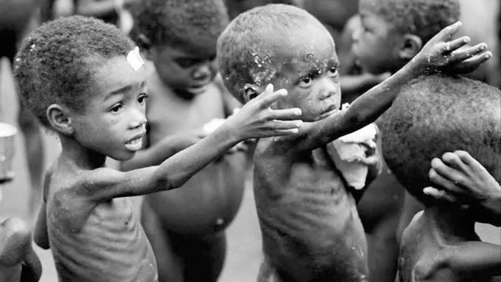 Gombe launches food supplement to curb child malnutrition